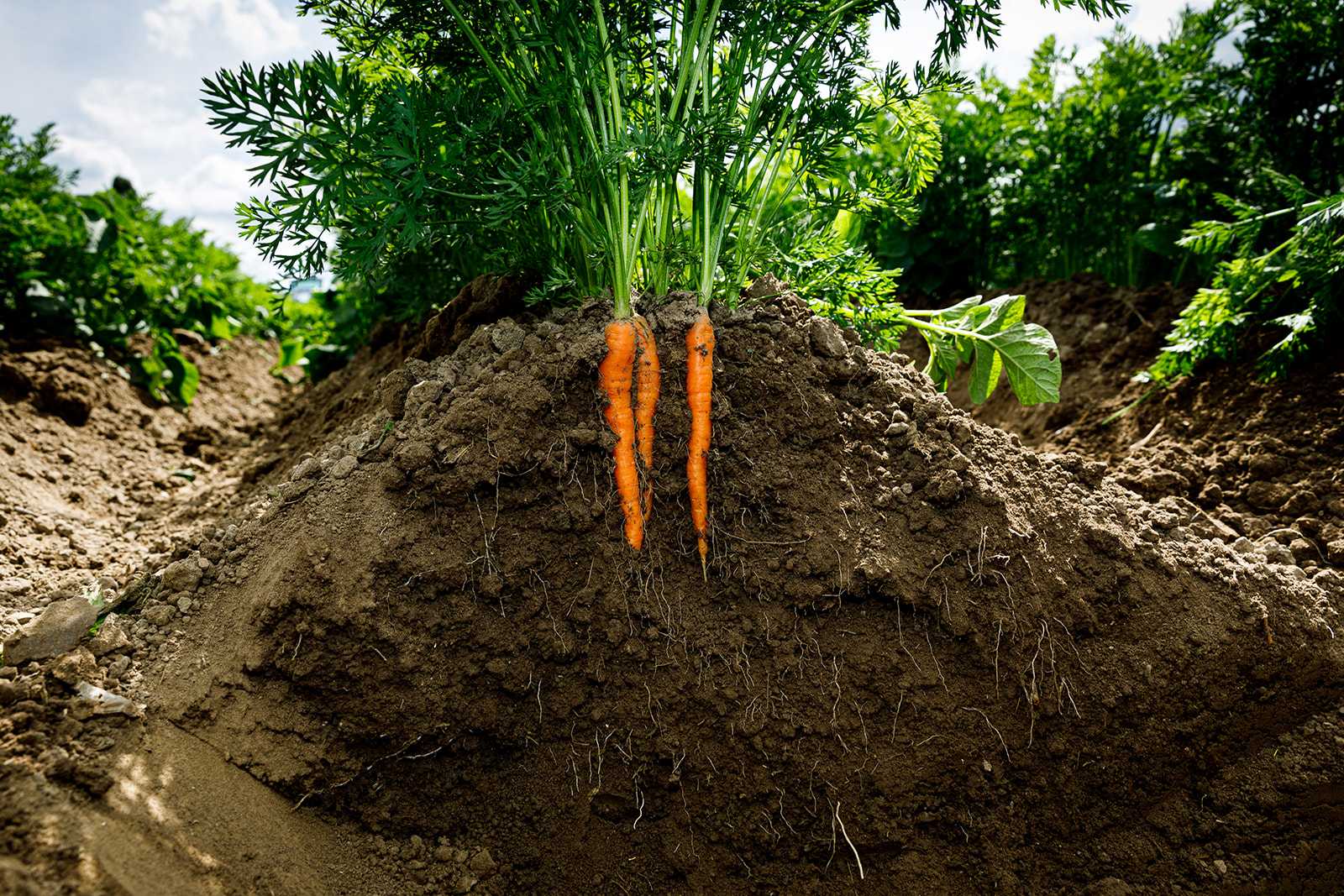MAAK KANS OP EEN EXCLUSIEVE NATUURPROEVERIJ